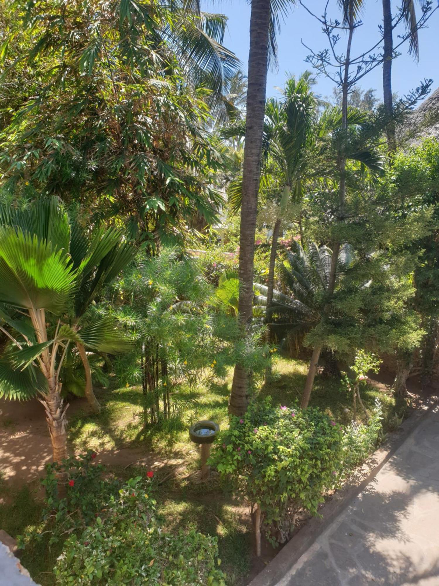Marijani Holiday Resort Watamu Exteriér fotografie