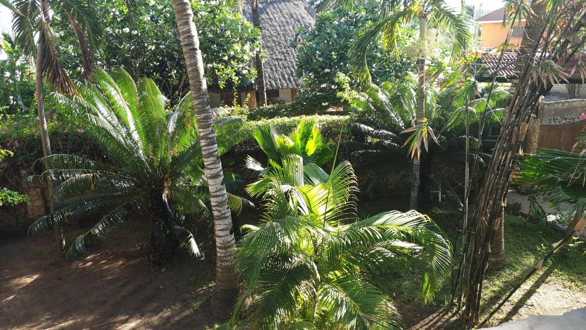 Marijani Holiday Resort Watamu Exteriér fotografie